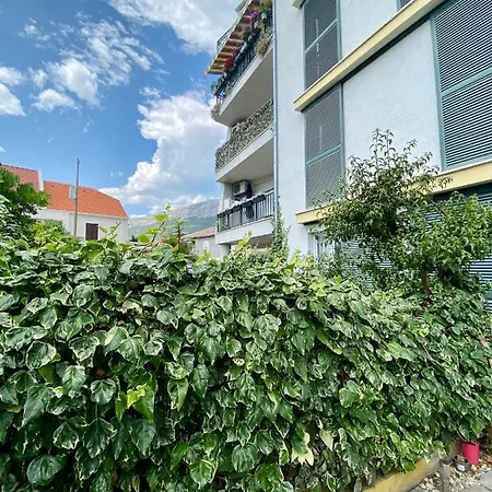 Apartman Ruza *